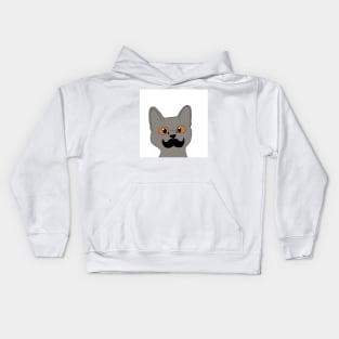 Gray mustache cat Kids Hoodie